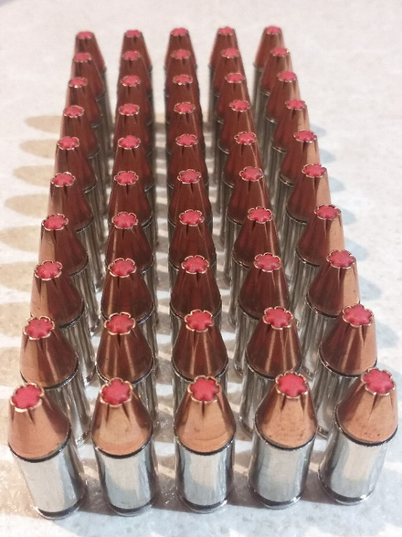 Hornady Critcal Duty